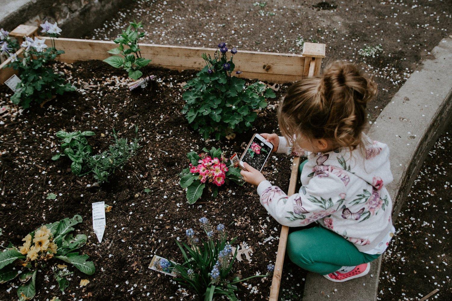 A child observing plants and flowers in a garden