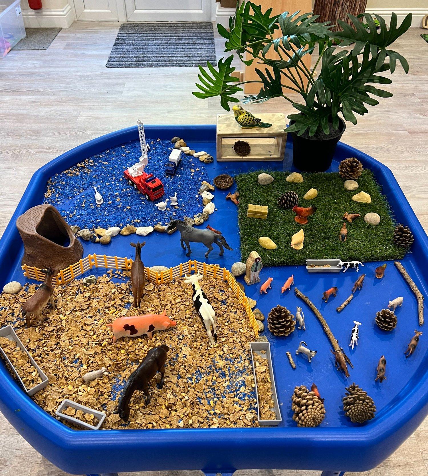 A tactile investigation tray with natural materials and vehicles